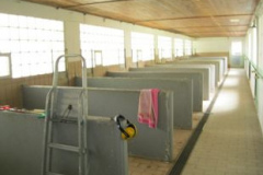 1-abriss-19-mai-2012