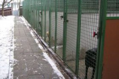 altbau-hundehaus-2-e1513853503784