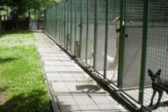 altbau-zwinger-aussen-e1513853455850