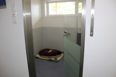 Hundezimmer-1-1